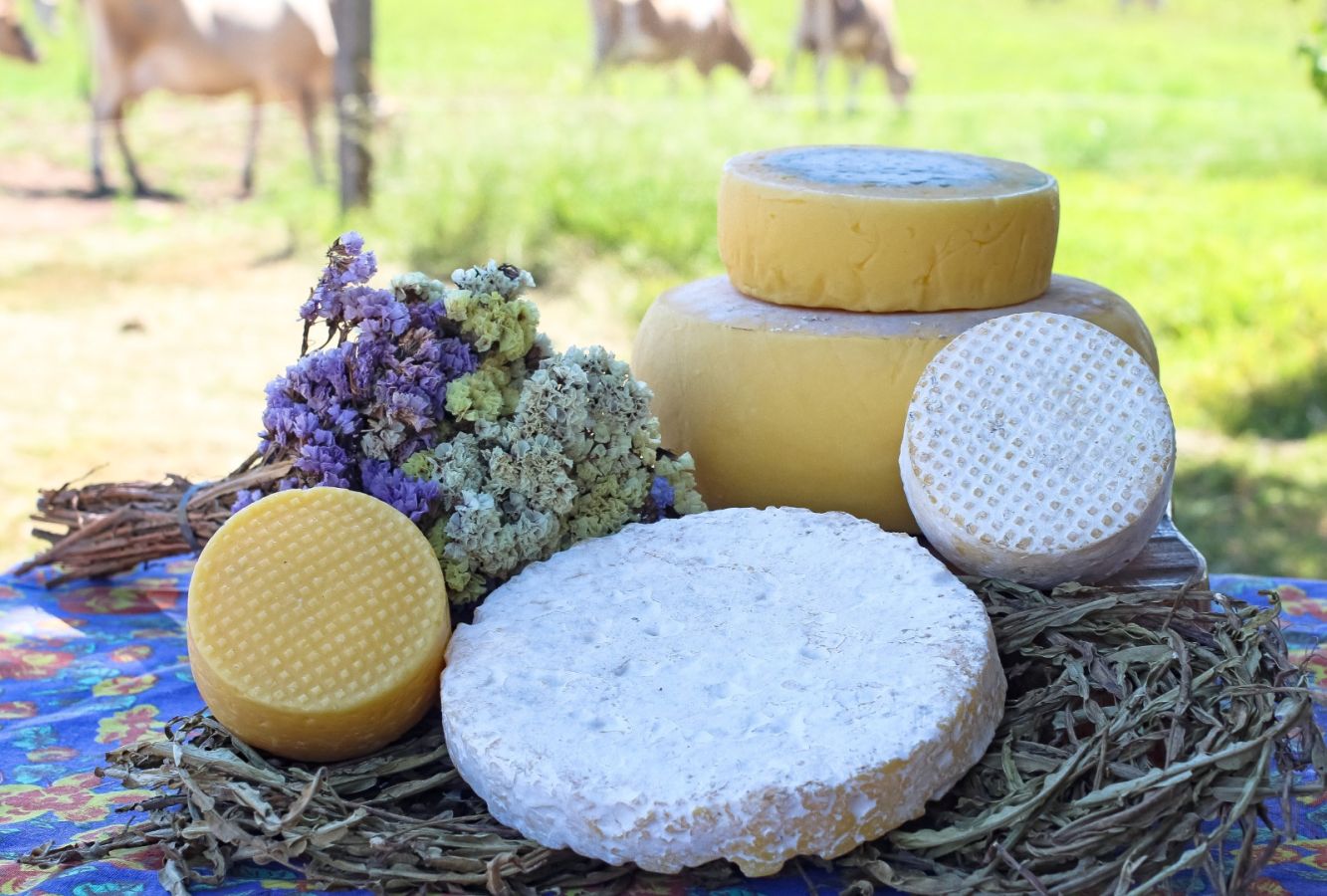 Produtos da Tambero receberam Selo Arte